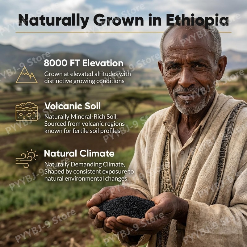 Ethiopian Black Seed Oil Softg - Herbal Wellness recension och pris